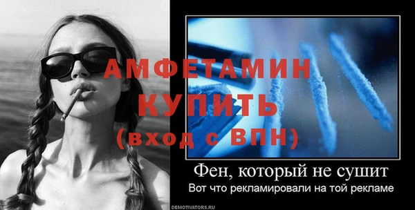 прущие грибы Медвежьегорск