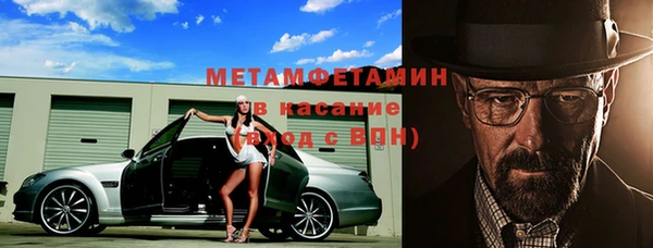 прущие грибы Медвежьегорск