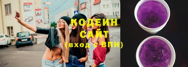 прущие грибы Медвежьегорск