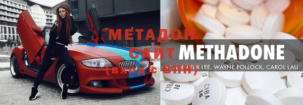 прущие грибы Медвежьегорск