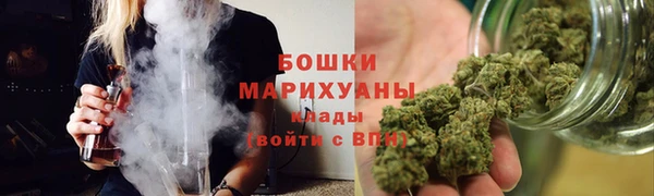 прущие грибы Медвежьегорск