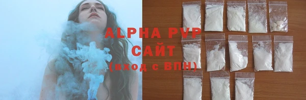прущие грибы Медвежьегорск