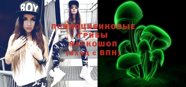 дурь Мегион