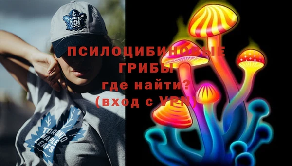 дурь Медногорск