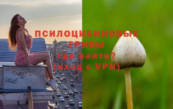 дурь Мегион