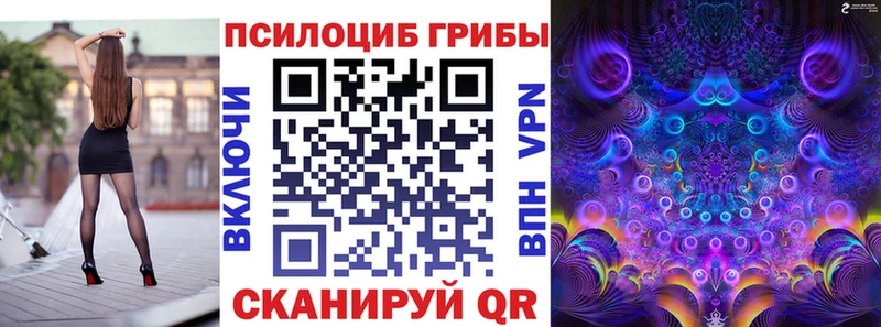 Псилоцибиновые грибы Psilocybine cubensis  закладки  KRAKEN зеркало  Опочка 