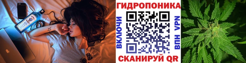 kraken зеркало  Опочка  Шишки марихуана White Widow  продажа наркотиков 